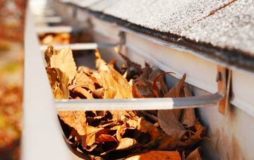 Burgh gutter cleaning companies