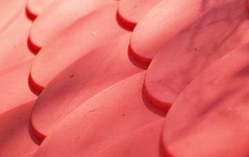 Burgh plastic roof costs