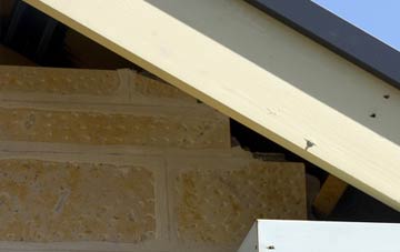 soffit repair Burgh