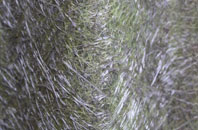 Burgh fibreglass roof work